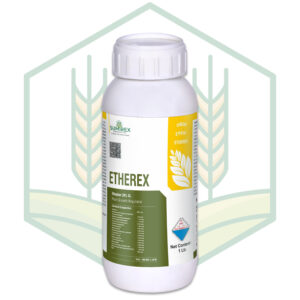 ETHEREX
