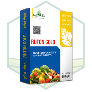 RUTON GOLD