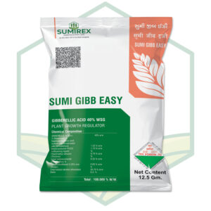 SUMI GIBB EASY